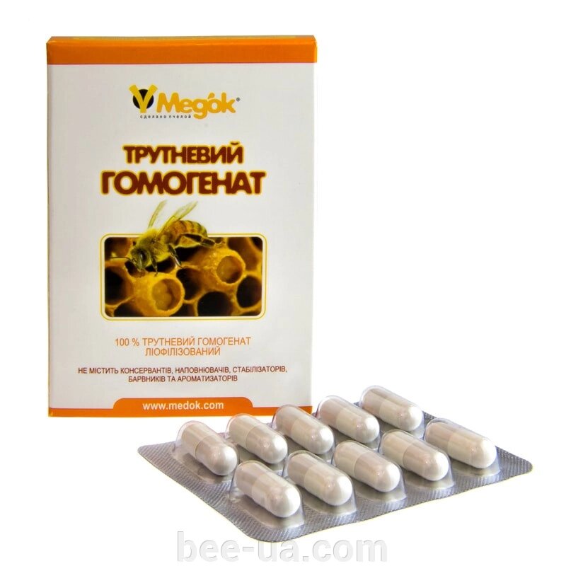 Трутневий гомогенат (10 капсул) від компанії Українська Бджілка - фото 1