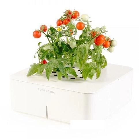 Електронний вазон Smart Pot Click &amp; Grow міні-томати C &amp; GS5EN - акції