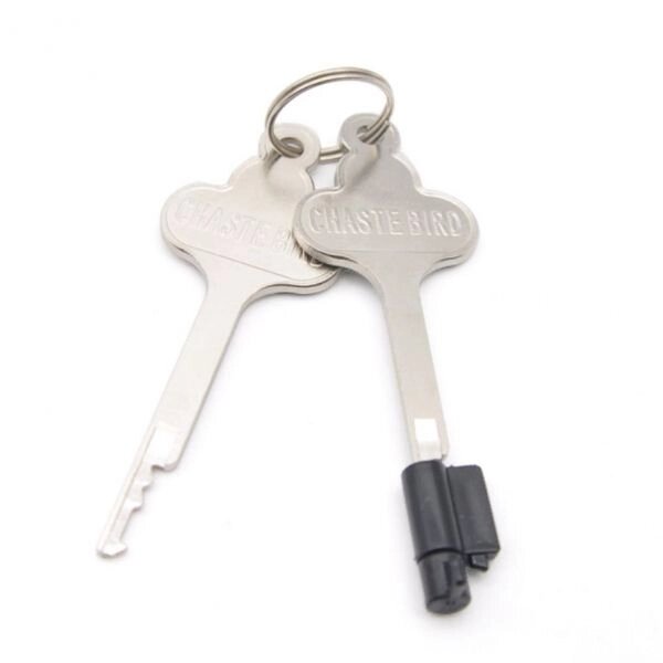 Набір ключів з серцевиною для поясів вірності Built-in lock від компанії Elektromax - фото 1