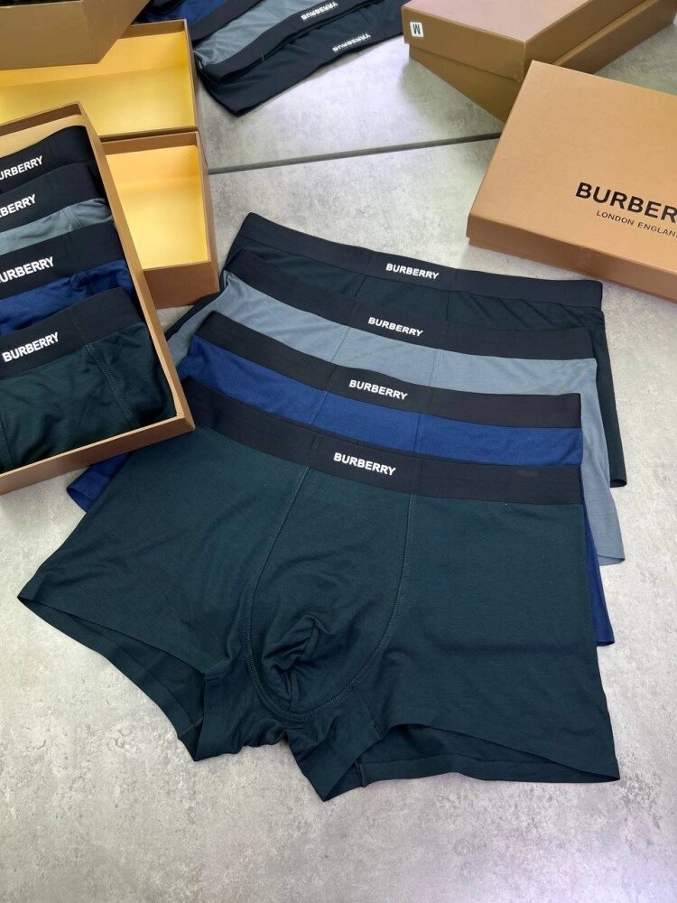 Набір нижньої білизни Burberry black rubber t146 від компанії Elektromax - фото 1