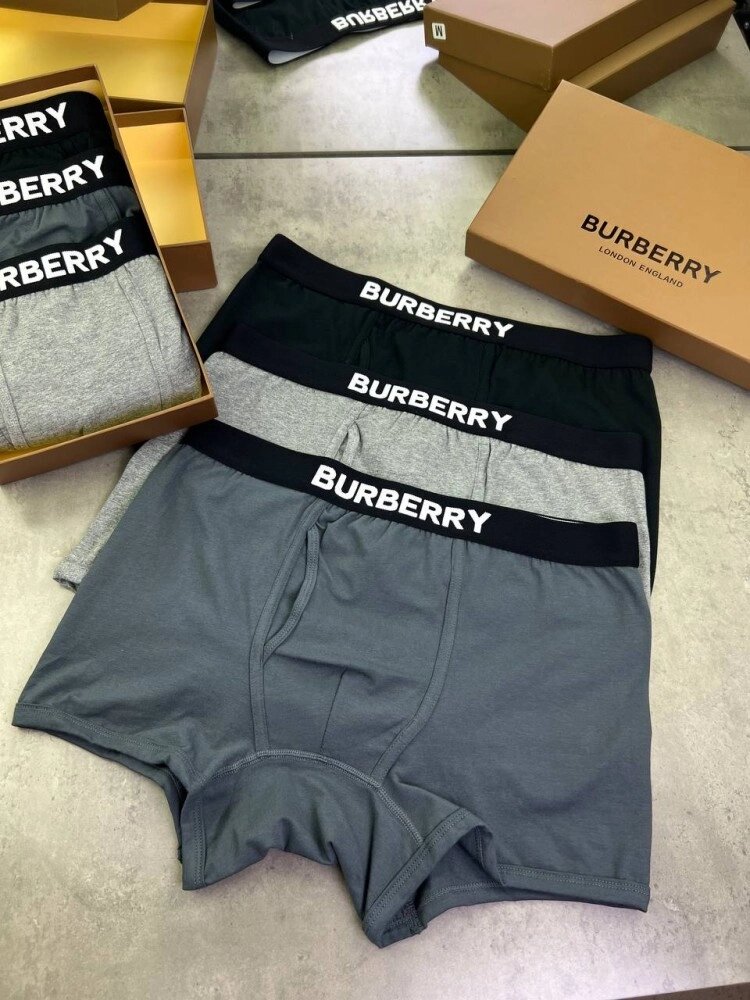 Набір нижньої білизни Burberry classic logo t142 від компанії Elektromax - фото 1