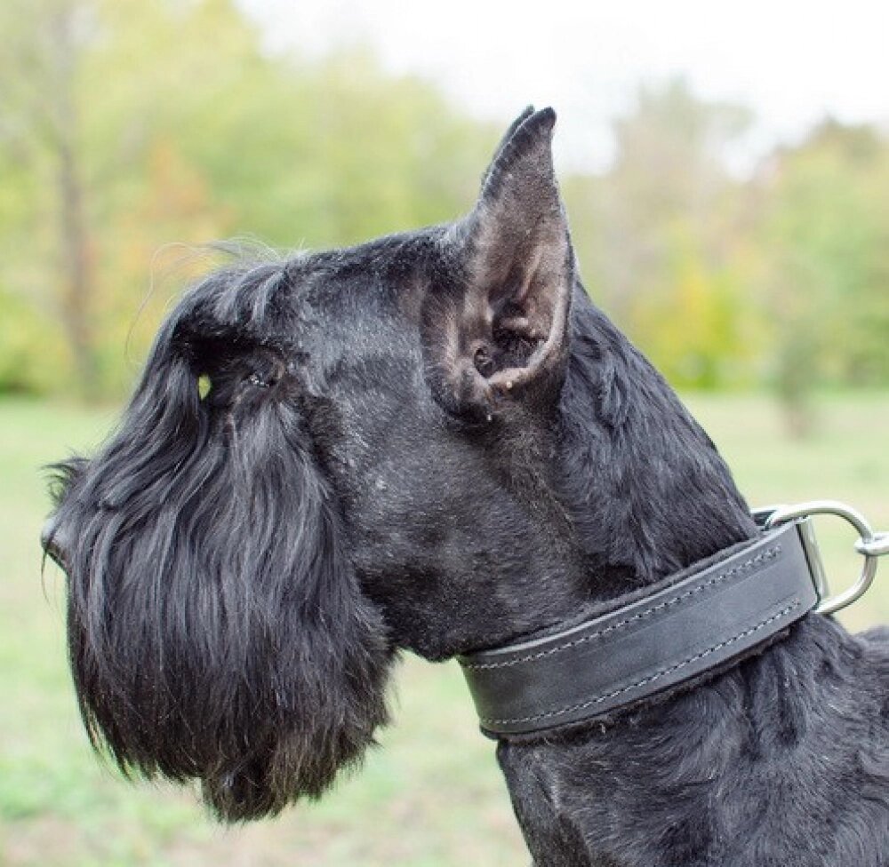 Нашийник з повстяної підкладкою "Lockdog" чорний від компанії Elektromax - фото 1