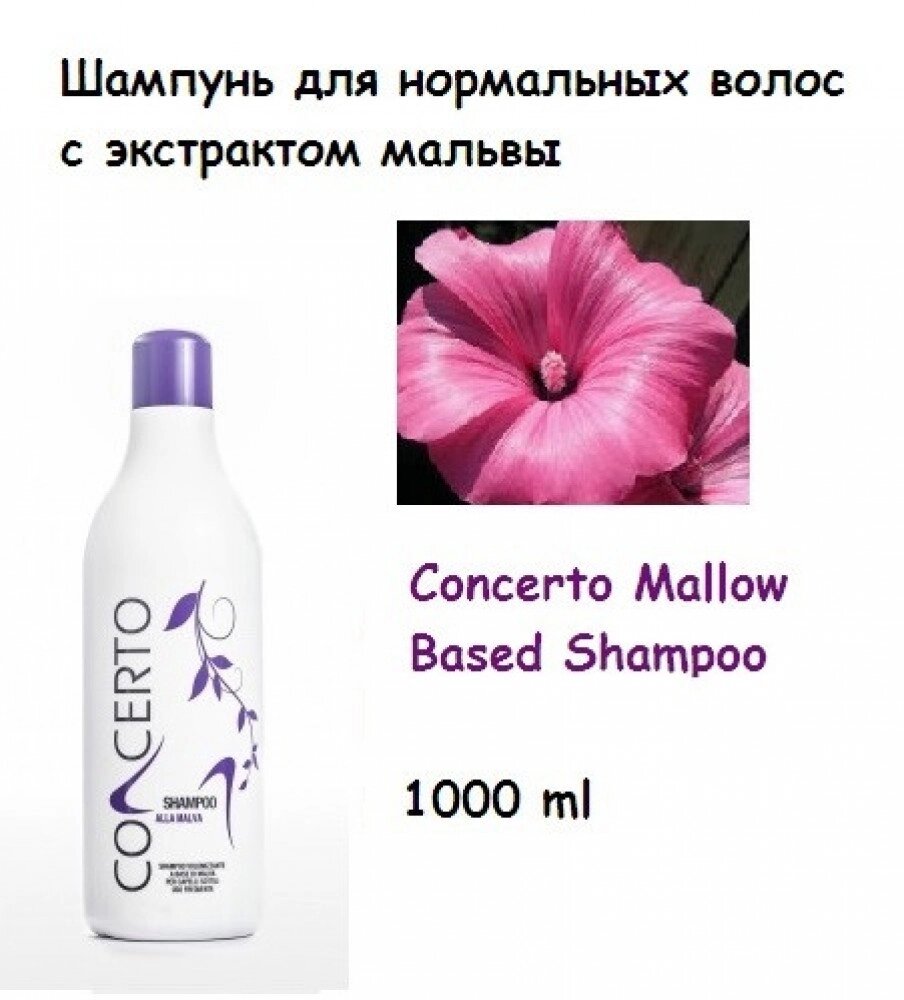 Шампунь для нормального волосся з екстрактом мальви 1000 мл Concerto Mallow Based Shampoo від компанії Elektromax - фото 1