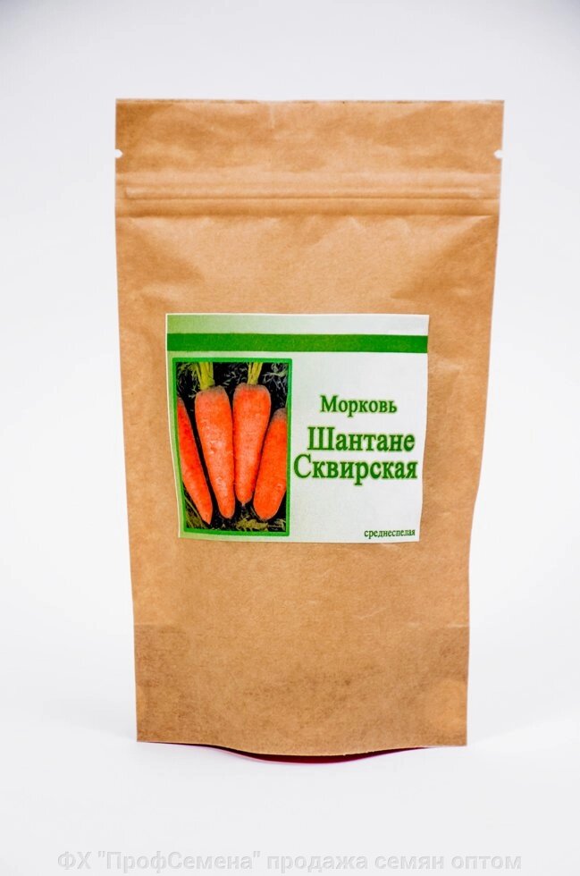 Насіння моркви Шантане Сквирська 100г від компанії ФГ "ПрофСемена" - фото 1