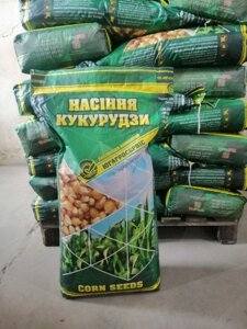 Насіння гібріда кукурудзи Кремінь 200 СВ ФАО 210