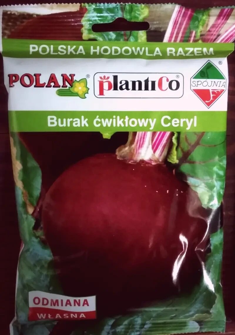 Насіння буряка столового польща Церіл 100 г від компанії Сад та Город - фото 1