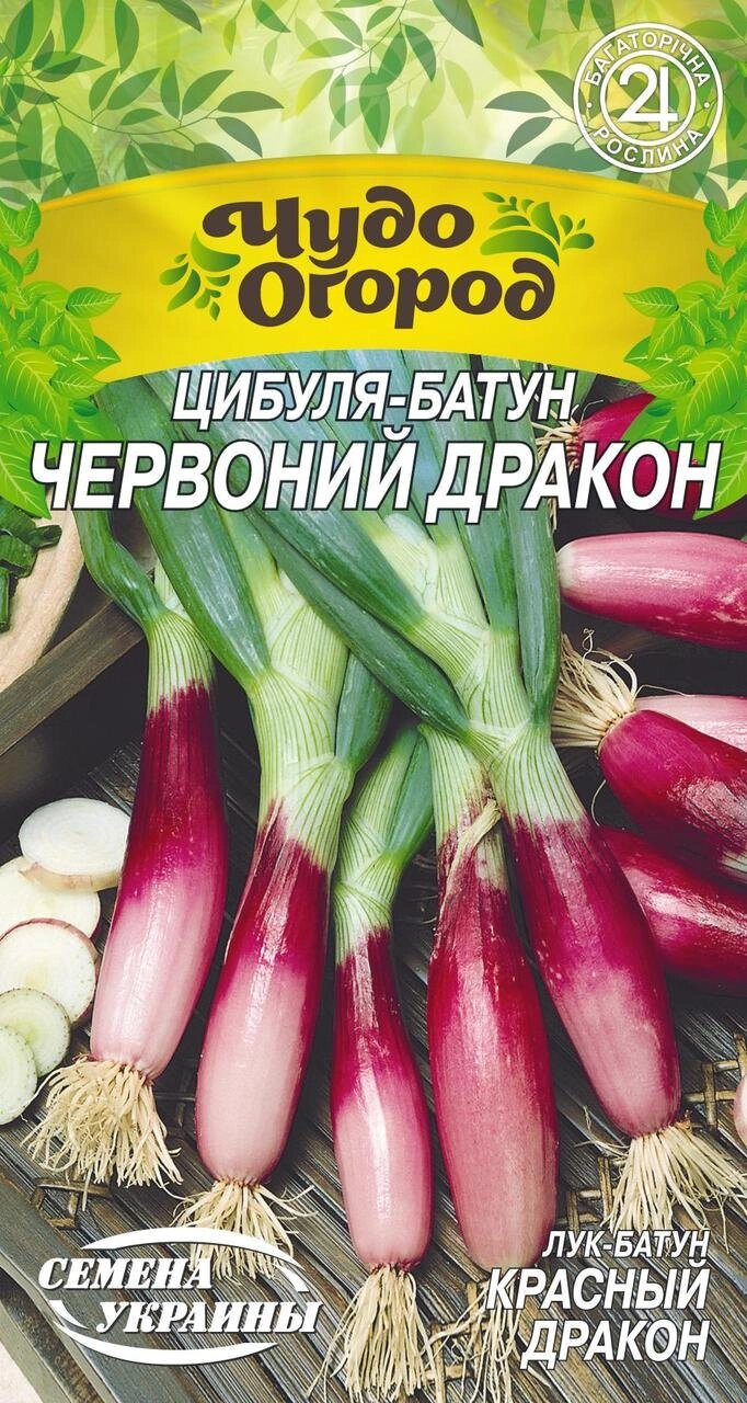 Насіння Цибуля-батун  Червоний дракон 0.25г від компанії Сад та Город - фото 1