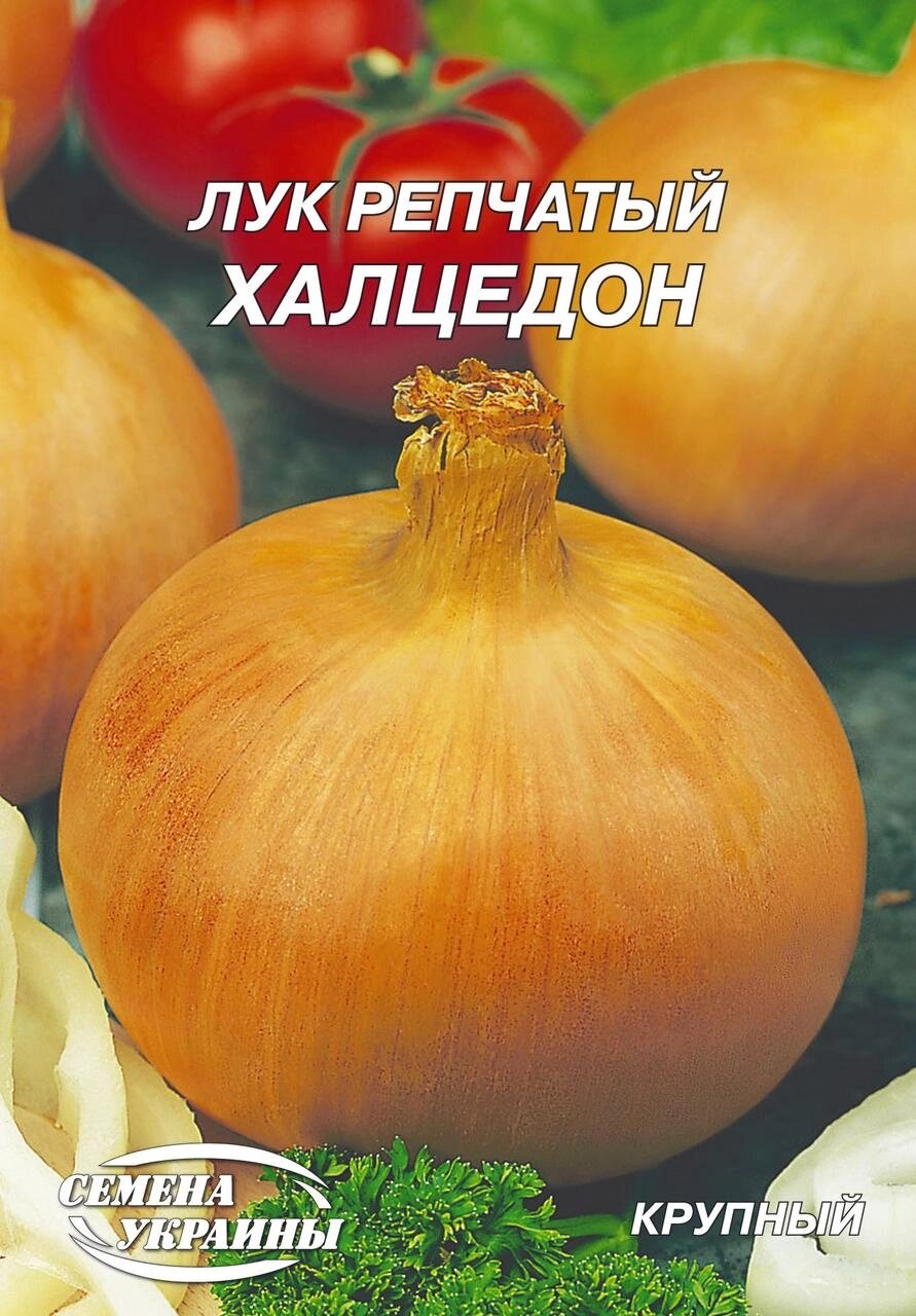 Насіння цибуля рiпчаста Халцедон [15г] чернушка від компанії Сад та Город - фото 1