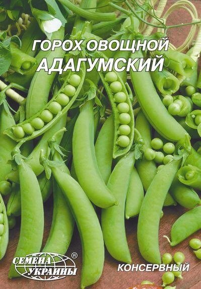 Насіння горох овочевий Адагумський 30 гр. від компанії Сад та Город - фото 2