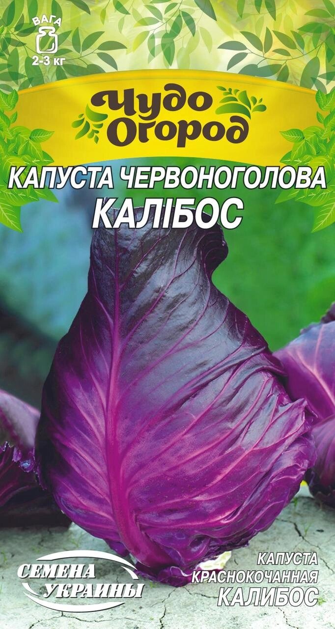 Насіння капуста червоноголова Калібос 0,5г від компанії Сад та Город - фото 1