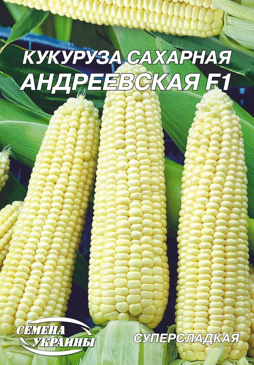 Насіння  кукурудза  цукрова Андріївська ф1 15г від компанії Сад та Город - фото 1