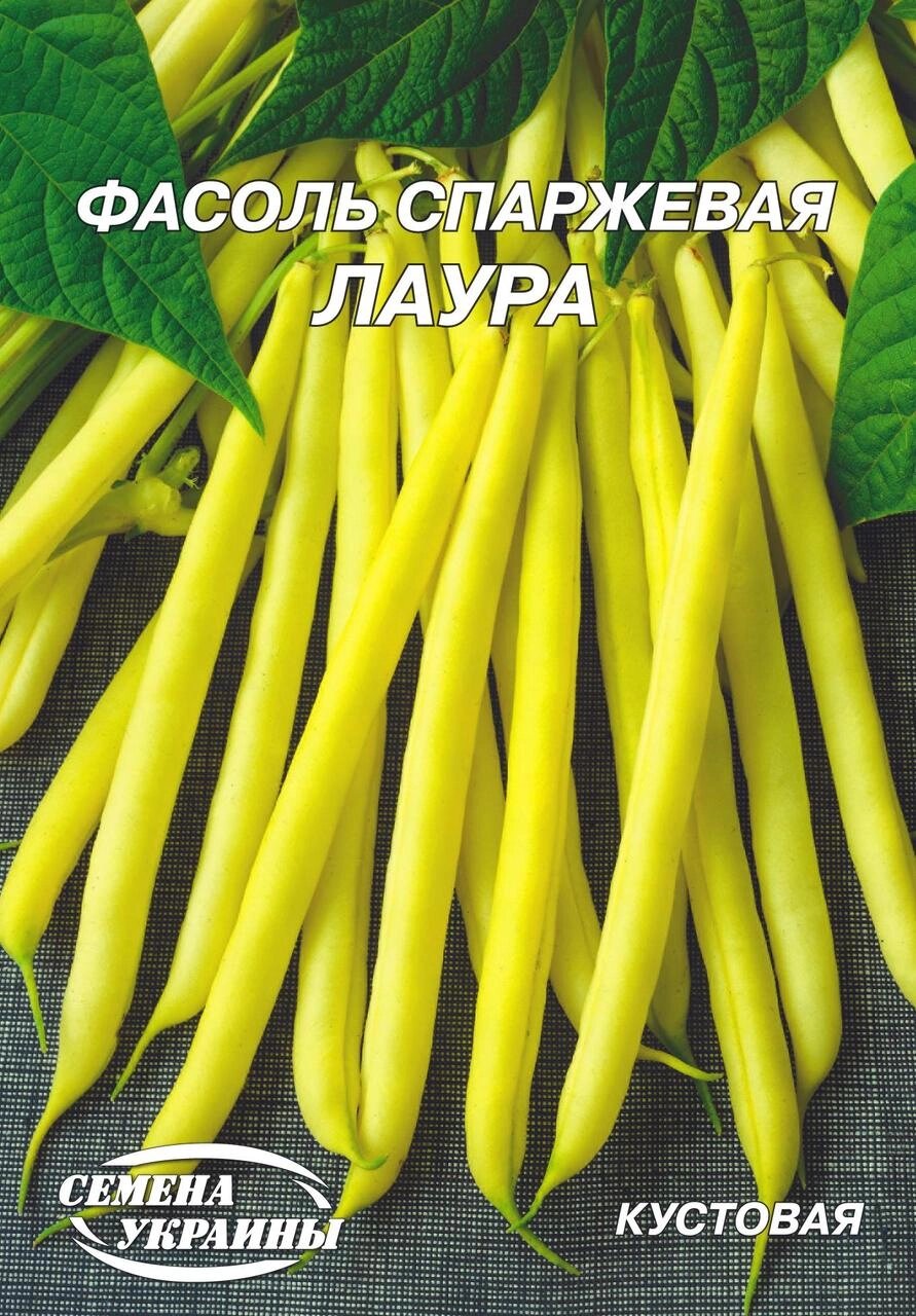 Насіння Квасоля Лаура 15г від компанії Сад та Город - фото 1