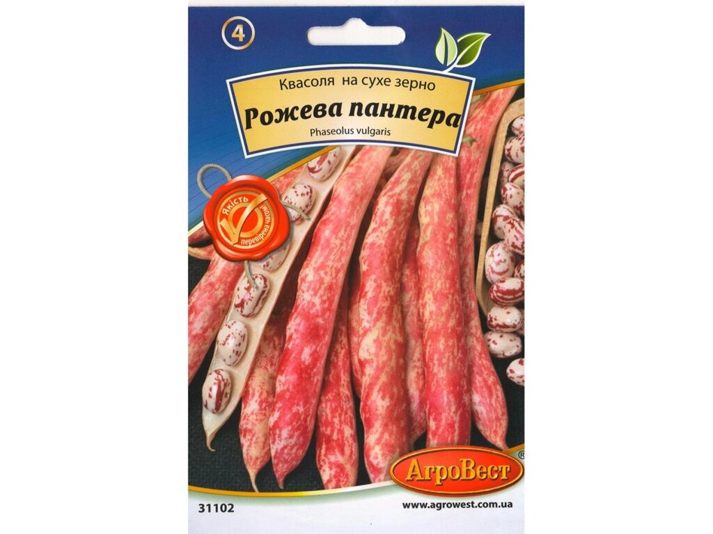 Насіння Квасоля Рожева Пантера 15г від компанії Сад та Город - фото 1