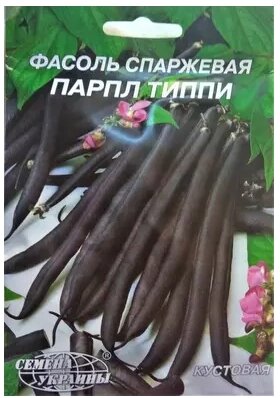 Насіння Квасоля спаржева кущова Парпл Тіппі 20г від компанії Сад та Город - фото 1