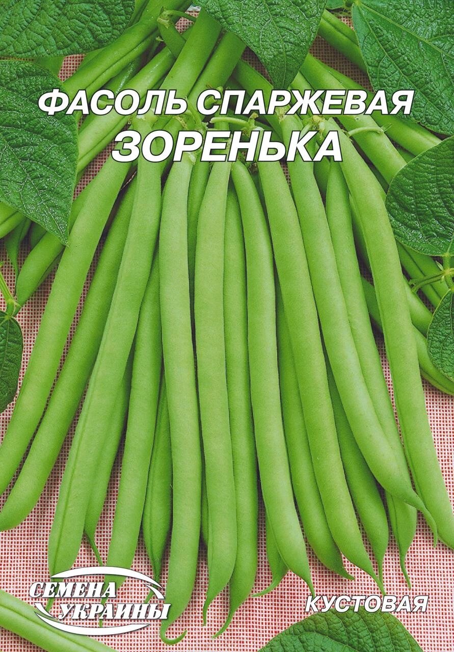 Насіння квасоля спаржева Зіронька 20г зел. від компанії Сад та Город - фото 1