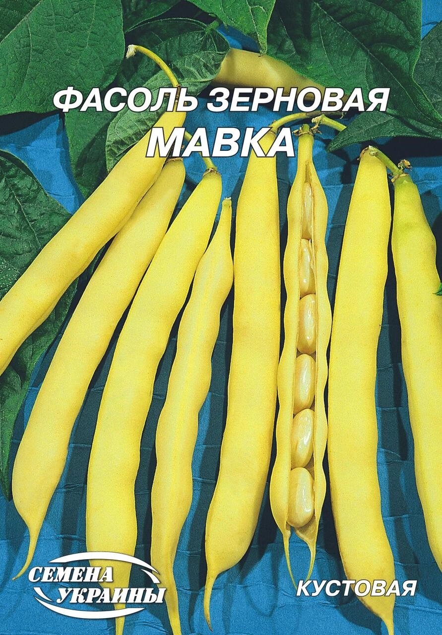 Насіння Квасоля зернова Мавка 20г від компанії Сад та Город - фото 1