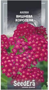 Насіння квіти Ахілея Вишнева королева 0.1г від компанії Сад та Город - фото 1