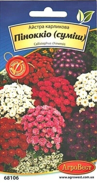Насіння квіти айстра карликова Піноккіо суміш 0,2г від компанії Сад та Город - фото 1