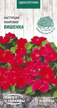 Насіння  квіти   Красоля махрова Вишенька  1г від компанії Сад та Город - фото 1