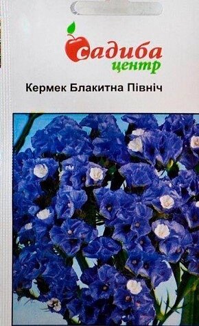 Насіння  квіти   Статиця кермек Блакитна Північ від компанії Сад та Город - фото 1