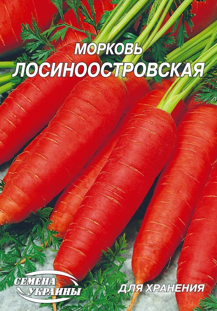 Насіння морква Лосиноостровська 20г від компанії Сад та Город - фото 1