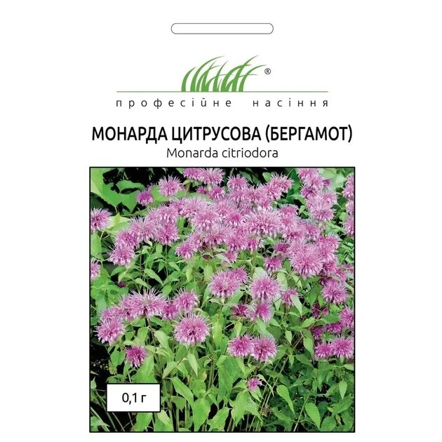 Насіння пряні трави Монарда лимонна Бергамот 0.1г від компанії Сад та Город - фото 1