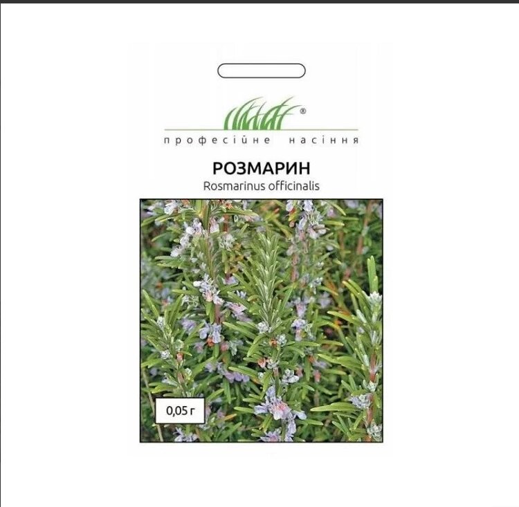 Насіння пряні  трави Розмарин Кімнатний 0,05 г. від компанії Сад та Город - фото 1