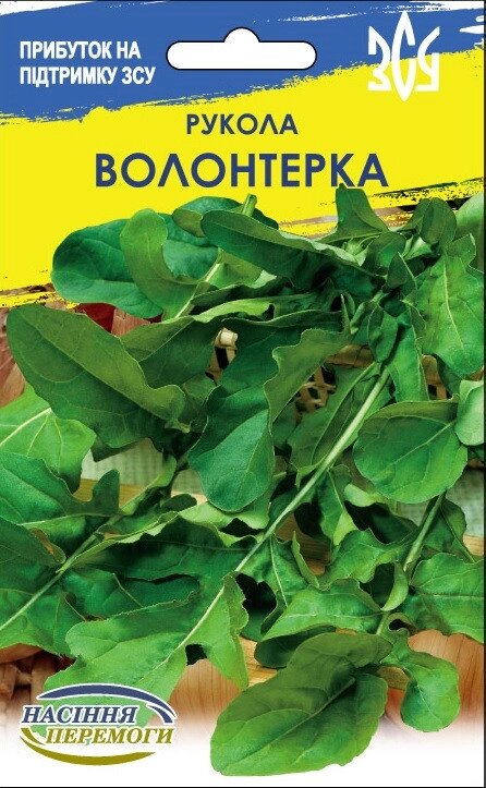 Насіння  пряні  трави рукола широколиста Волонтерка 10г від компанії Сад та Город - фото 1