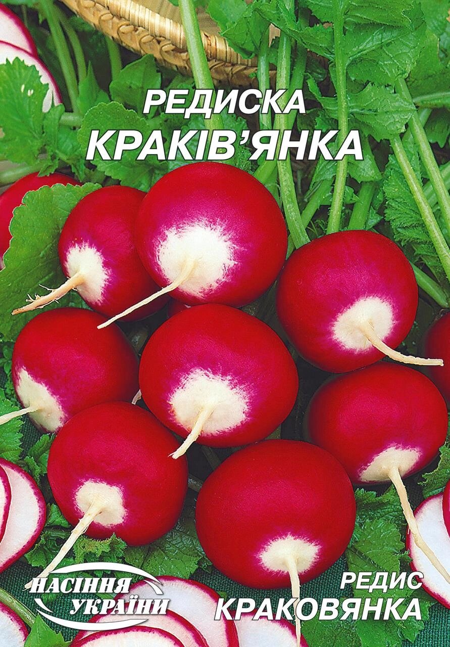 Насіння редис Краковянка 2г від компанії Сад та Город - фото 1