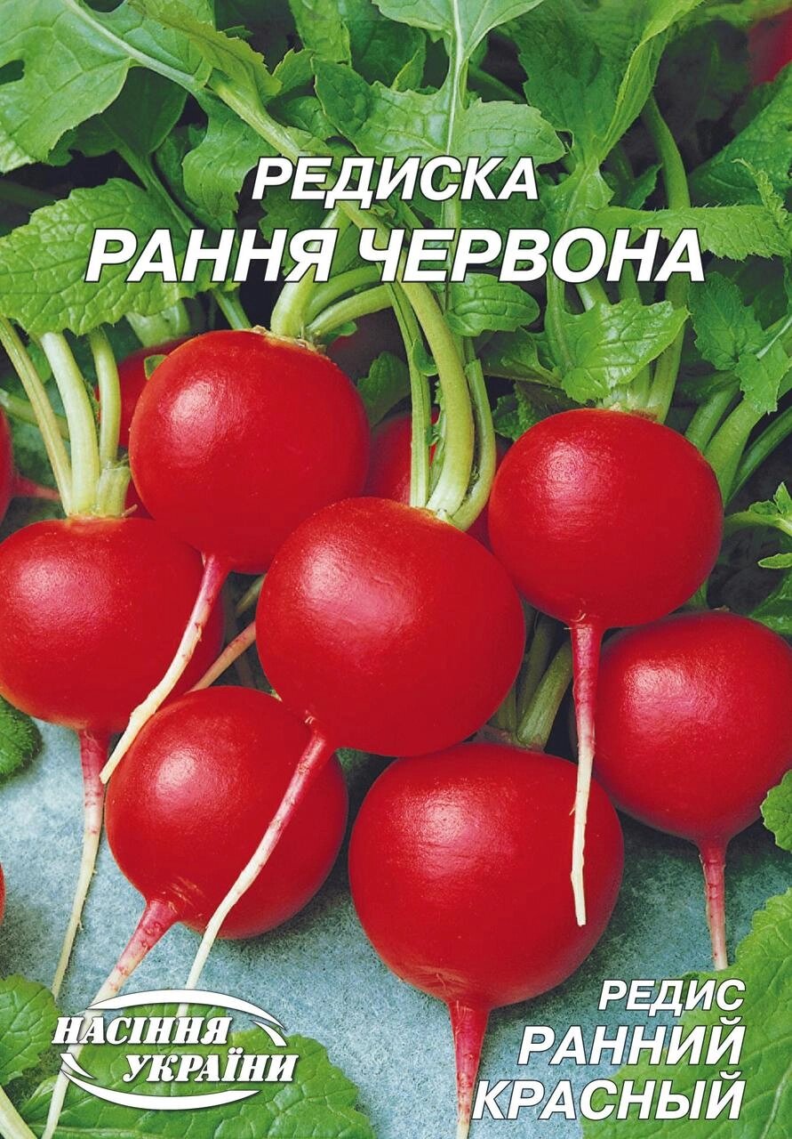 Насіння редиска Рання червона 2г від компанії Сад та Город - фото 1