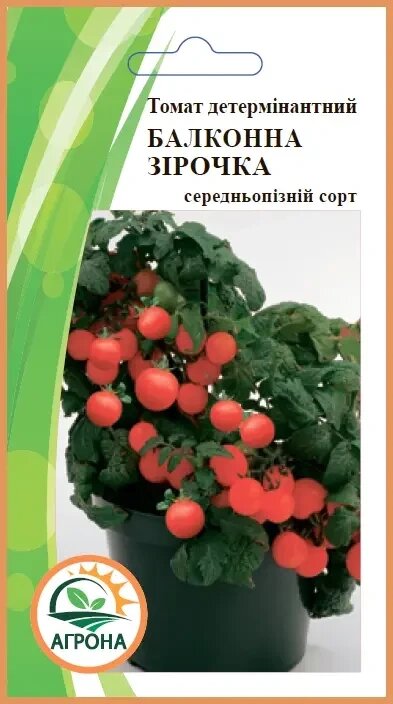 Насіння Томат Балконна зірочка 0.1 г від компанії Сад та Город - фото 1