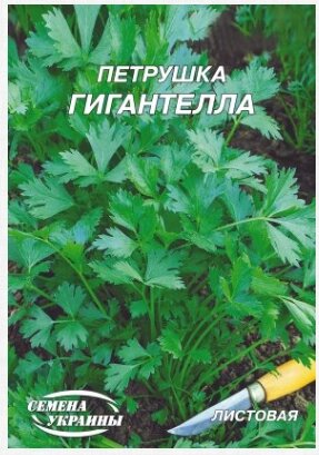 Насіння зелені  Петрушка листова Гігантела 10 г. від компанії Сад та Город - фото 1