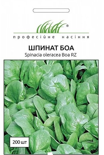 Насіння зелені та прянні культури Шпинат Боа 200 шт. від компанії Сад та Город - фото 1