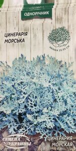 Насіння  квіти   Цинерарія Морська 0,1г в Вінницькій області от компании Сад та Город