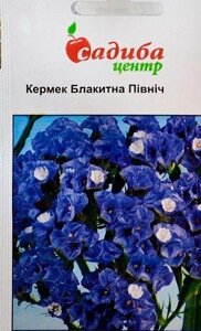 Насіння квіти Статиця кермек Блакитна Північ