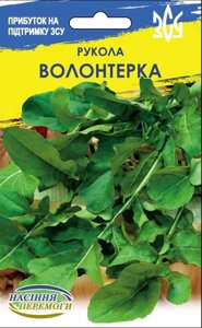 Насіння  пряні  трави рукола широколиста Волонтерка 10г в Вінницькій області от компании Сад та Город