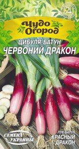 Насіння Цибуля-батун Червоний дракон 0.25г