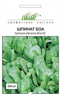 Насіння зелені та прянні культури Шпинат Боа 200 шт.