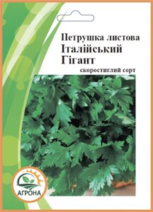 Насіння зелені петрушка Італійський Гігант 20г