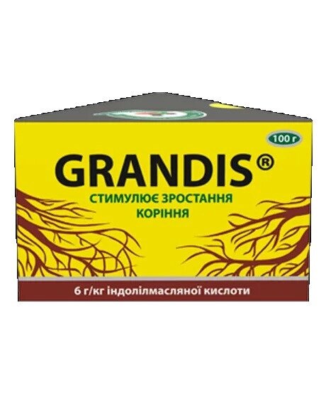 Стимулятор росту коріння Grandis (Грандіс) 100г від компанії Сад та Город - фото 1