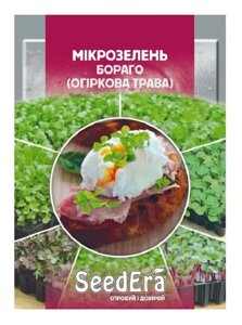 Мікрозелень Бораго, 10 г Seedеra