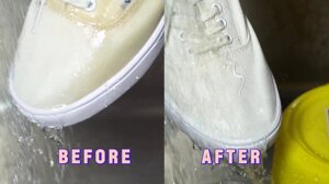 Брудовідштовхуючі спрей для взуття Bama Waterstop