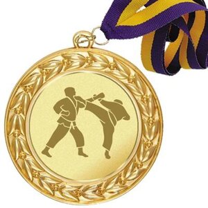 Медаль зі стрічкою і жетоном (01 золото) Бойові мистецтва