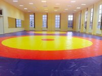 Татамі, боротьба килими