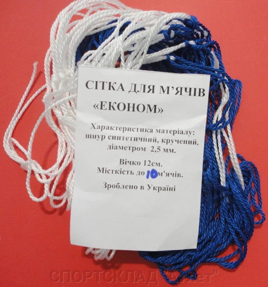 Сітка для перенесення м'ячів до 10 шт. Економ. Ø 2,5 мм, осередок 12 см біло-синя від компанії СПОРТСКЛАД "Атлет" - фото 1