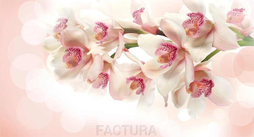 Квіти 189 від компанії FACTURA - фото 1