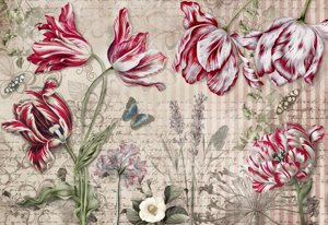 Merian flowers №6