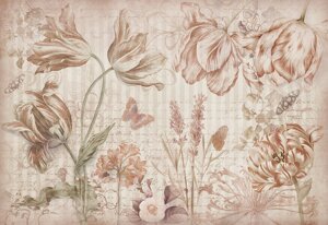 Merian flowers №5