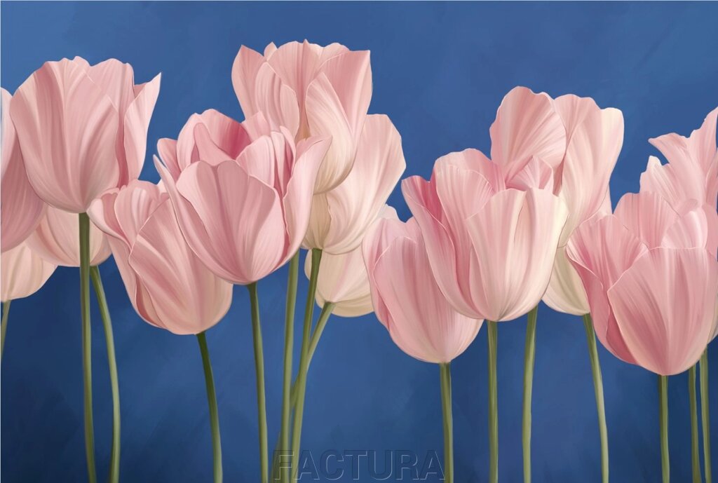 Tulips 4 - роздріб
