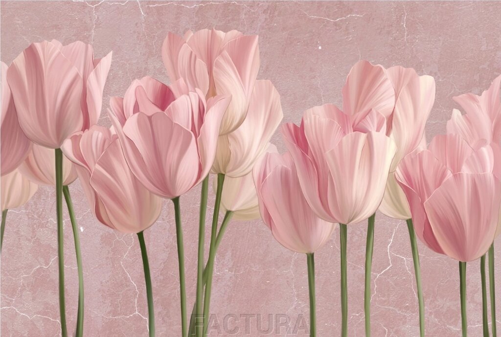 Tulips 14 - замовити
